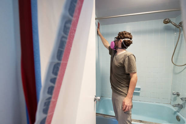 Forensic Mold Investigation in East Meadow, NY